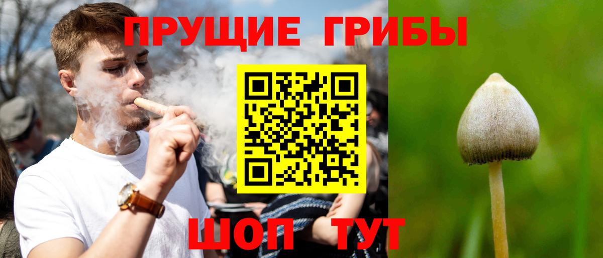 Людиново  Псилоцибиновые грибы ЛСД  Вход с VPN 